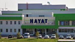 Фабрика Hayat, Елабуга